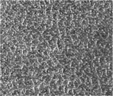 Doğal keten malzeme dokusu arka plan, vektör illüstrasyonu