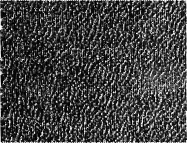 Doğal keten malzeme dokusu arka plan, vektör illüstrasyonu