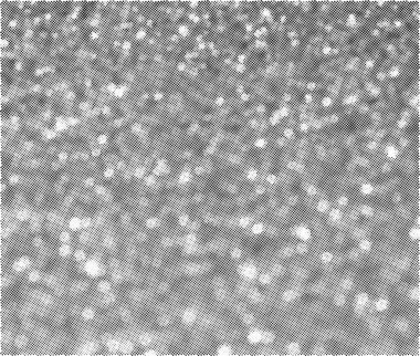 Doğal keten malzeme dokusu arka plan, vektör illüstrasyonu