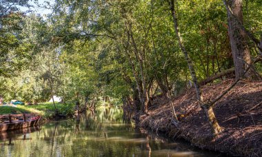 Marais Poitevin 'de tekne gezisi, ıslak bataklık, Poitou bölgesi, Fransa, Eylül 2022