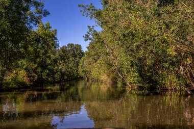 Marais Poitevin 'de tekne gezisi, ıslak bataklık, Poitou bölgesi, Fransa, Eylül 2022