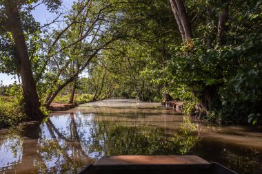 Marais Poitevin 'de tekne gezisi, ıslak bataklık, Poitou bölgesi, Fransa, Eylül 2022