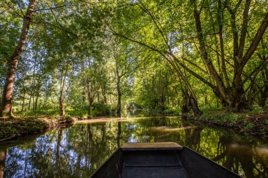 Marais Poitevin 'de tekne gezisi, ıslak bataklık, Poitou bölgesi, Fransa, Eylül 2022