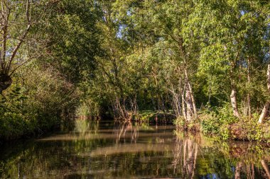 Marais Poitevin 'de tekne gezisi, ıslak bataklık, Poitou bölgesi, Fransa, Eylül 2022