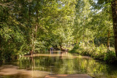 Marais Poitevin 'de tekne gezisi, ıslak bataklık, Poitou bölgesi, Fransa, Eylül 2022