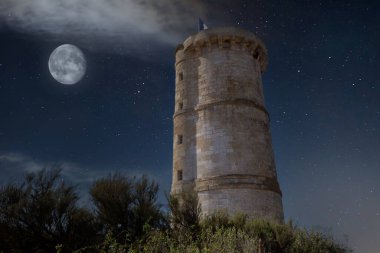 Phare des baleines, balina deniz feneri, ile de Re adası, Biscay körfezi, charente marine, France, mimar Leonce Reynaud, yıl 1850