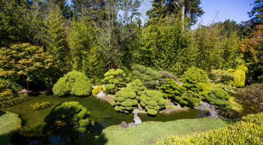 japanese garden in San Francisco, california