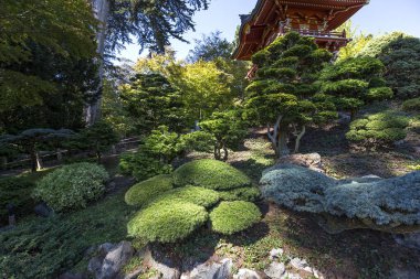 japanese garden in San Francisco, california