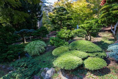 japanese garden in San Francisco, california