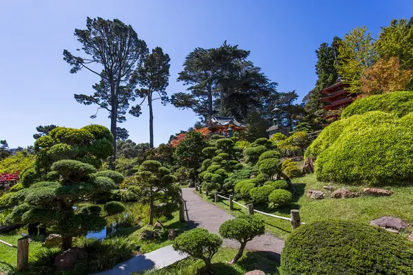 japanese garden in San Francisco, california