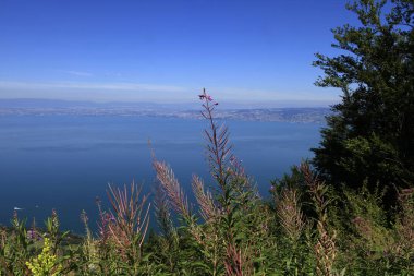 a view of Leman lake, from Thollon les Memises village, in haute savoie, France