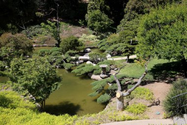 trees and flowers in a japanese garden
