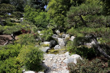 trees and flowers in a japanese garden