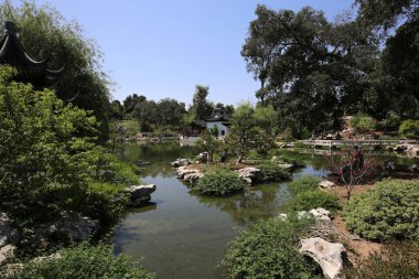 Büyük bir Japon bahçesinde gölet ve çiçekler.