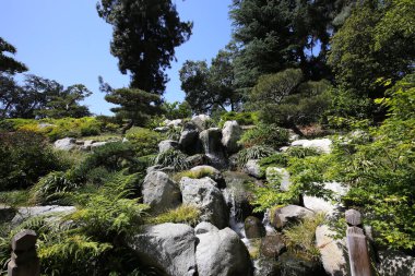 trees and flowers in a japanese garden