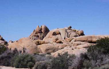 Joshua Tree Ulusal Parkı, Kaliforniya, Birleşik Devletler