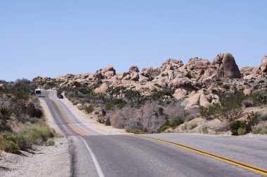 Joshua Tree Ulusal Parkı, Kaliforniya, Birleşik Devletler