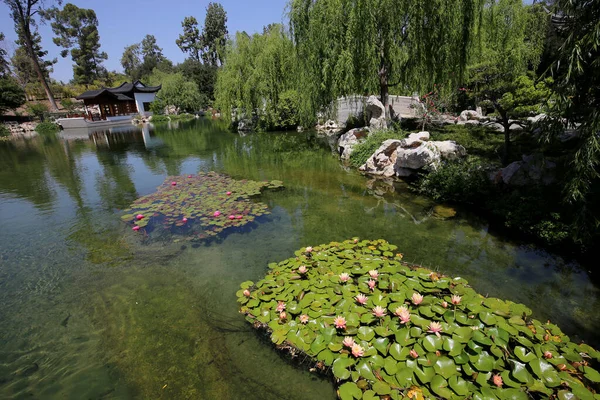 Rybník Květiny Velké Japonské Zahradě — Stock fotografie
