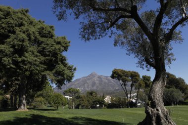 Golf Sahası marbella, Endülüs, İspanya