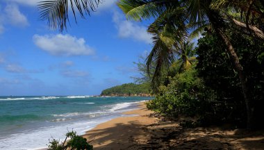 Tartane Plajı, La Martinique adasının doğu kıyısında, Batı Hint Adaları, Fransa