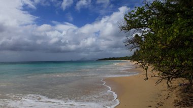 Tartane Plajı, La Martinique adasının doğu kıyısında, Batı Hint Adaları, Fransa