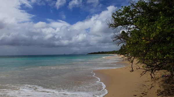 Playa Tartane Costa Este Isla Martinica Indias Occidentales Francia — Foto de Stock
