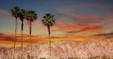 San Jacinto Dağı, Palm Springs, California