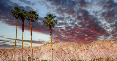 San Jacinto Dağı, Palm Springs, California