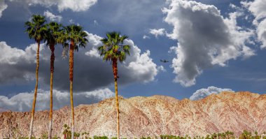 San Jacinto Dağı, Palm Springs, California