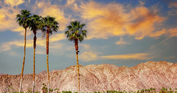 San Jacinto Dağı Palm Springs California — Stok fotoğraf