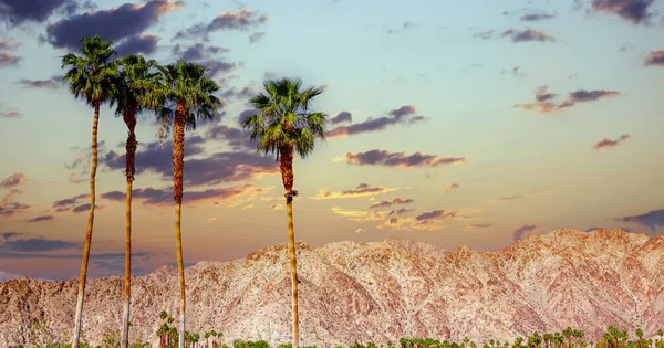 棕榈泉 — 图库照片