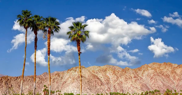 San Jacinto Mountain Palm Springs Califórnia — Fotografia de Stock