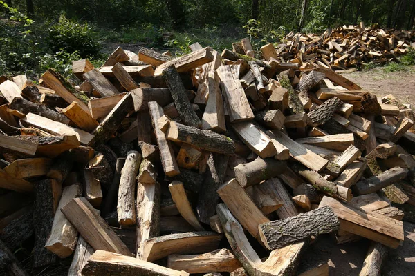 Madera Cortada Para Calefacción Por Chimenea Bosque Francia —  Fotos de Stock