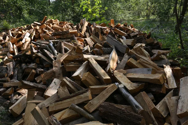 Řezané Dřevo Pro Vytápění Krbem Lese Francii — Stock fotografie
