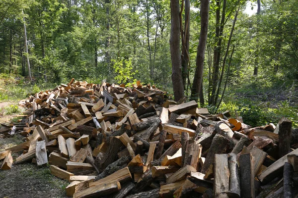 森の中の暖炉で暖める木を切る — ストック写真