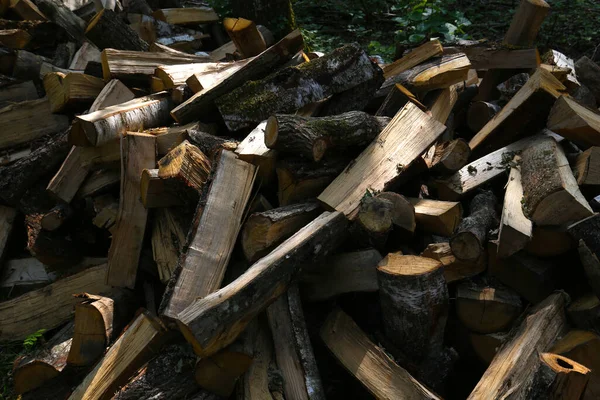 Řezané Dřevo Pro Vytápění Krbem Lese Francii — Stock fotografie