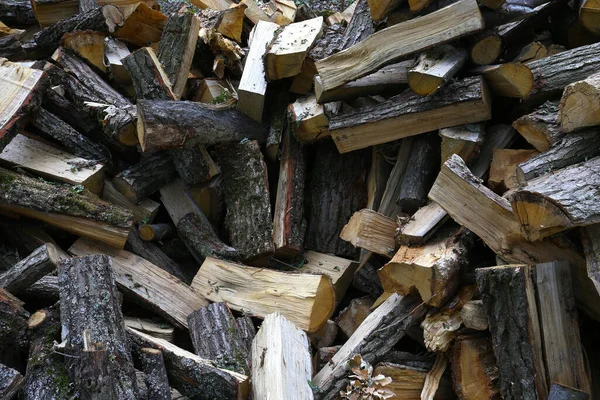 Ścięte Drewno Ogrzewania Kominkiem Lesie Francji — Zdjęcie stockowe