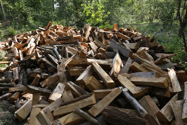 Fransa Bir Ormanda Şömineyle Isıtmak Için Odun Kesiyorlar Telifsiz Stok Fotoğraflar