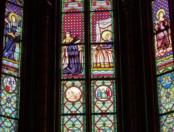 Orleans France April 2023 Stained Glasses Windowsl Decors Cathedral Basilica — Stock Photo, Image