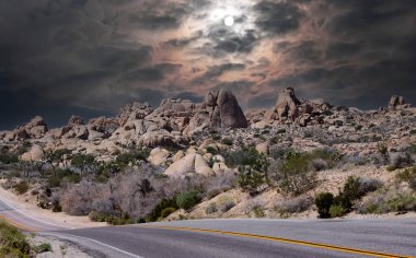 Joshua Tree Ulusal Parkı, Kaliforniya, Birleşik Devletler