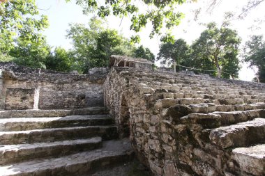 Büyük Maya Piramidi Coba, Yucatan, Meksika Riviera Maya