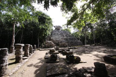 Büyük Maya Piramidi Coba, Yucatan, Meksika Riviera Maya