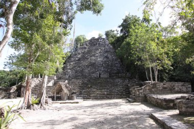 Büyük Maya Piramidi Coba, Yucatan, Meksika Riviera Maya