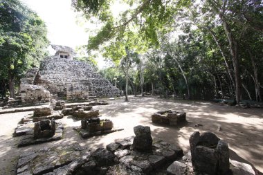 Büyük Maya Piramidi Coba, Yucatan, Meksika Riviera Maya
