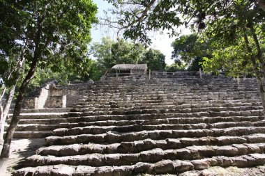 Büyük Maya Piramidi Coba, Yucatan, Meksika Riviera Maya