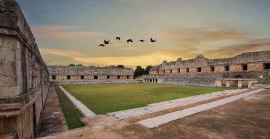 Uxmal, Yucatan, Meksika, Riviera Maya, Quintana Roo kalıntıları
