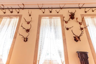 MAFRA, PORTUGAL, 13 Mart 2025, Mafra 'nın ulusal sarayının iç ve mimari detayları