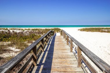 Coquina Sahili, Bradenton, Sarasota, Florida, ABD