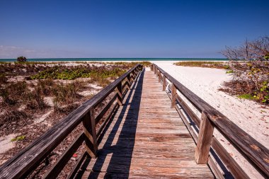 Coquina Sahili, Bradenton, Sarasota, Florida, ABD