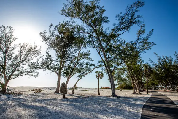 Coquina Sahili, Bradenton, Sarasota, Florida, ABD